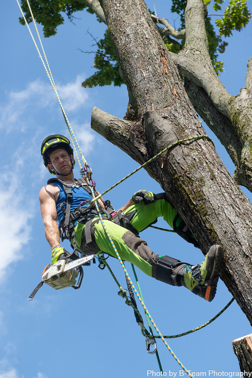 tree removal and pruning to emergency response and stump grinding Syracuse, NY