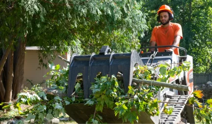 Property Cleanup Services
