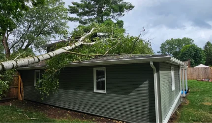 Storm Damage Cleanup